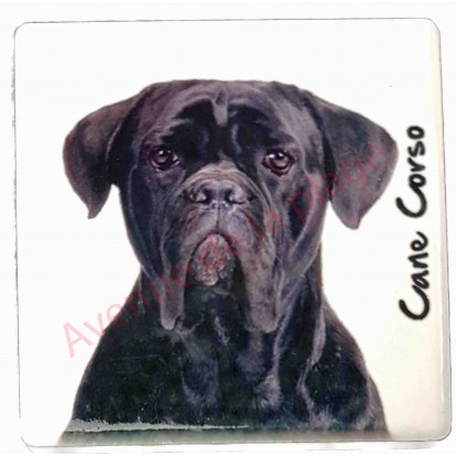 Magnet Cane Corso