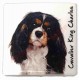 Magnet Cavalier King Charles tricolore