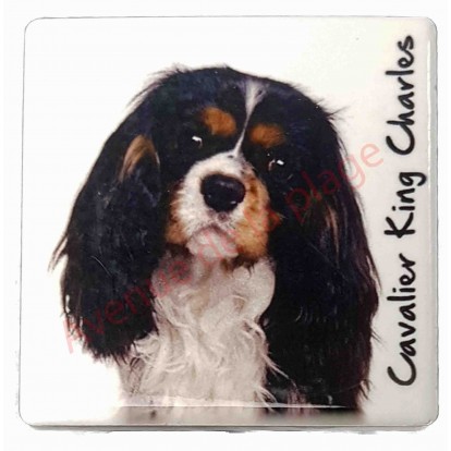 Magnet Cavalier King Charles tricolore
