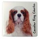 Magnet Cavalier King Charles feu