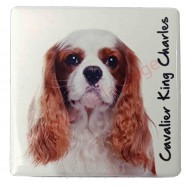 Magnet Cavalier King Charles feu