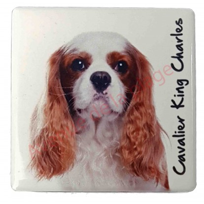 Magnet Cavalier King Charles feu