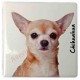 Magnet Chihuahua poils courts