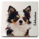Magnet Chihuahua poils longs