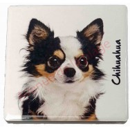 Magnet Chihuahua poils longs