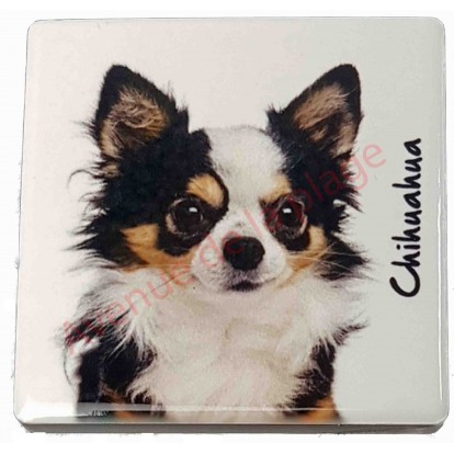 Magnet Chihuahua poils longs