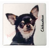 Magnet Chihuahua tricolore
