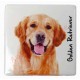 Magnet Golden Retriever B