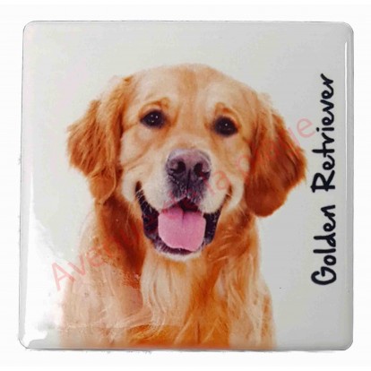 Magnet Golden Retriever B