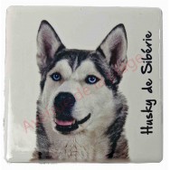 Magnet Husky de Sibérie