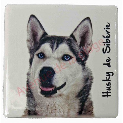 Magnet Husky de Sibérie