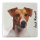 Magnet Jack Russell B