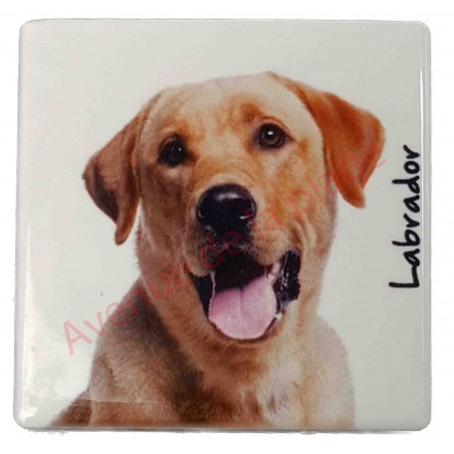 Magnet Labrador sable