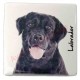Magnet Labrador noir