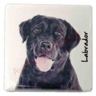 Magnet Labrador noir