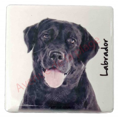 Magnet Labrador noir