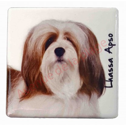 Magnet Lhassa Apso