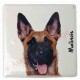 Magnet Malinois A