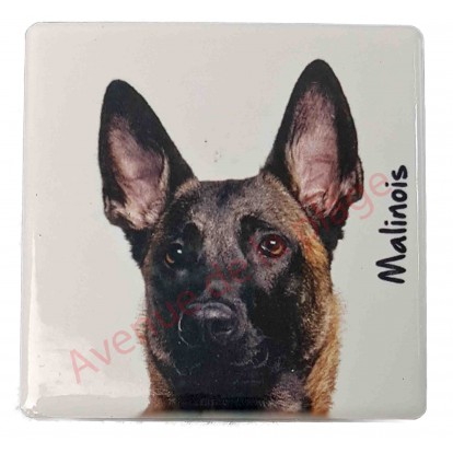 Magnet Malinois B