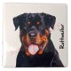 Aimant pour frigo Rottweiler B