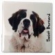 Magnet Saint Bernard