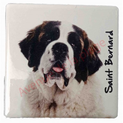 Magnet Saint Bernard