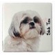 Magnet Shih Tzu