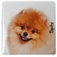 Magnet Spitz