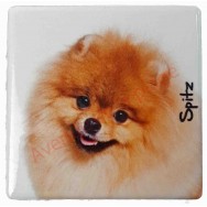 Magnet Spitz