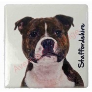 Magnet Staffordshire