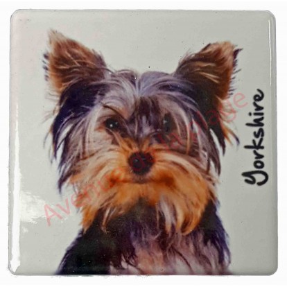 Magnet Yorkshire nain