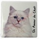 Magnet Chat blanc