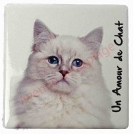 Magnet Chat blanc