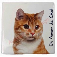 Magnet Chat roux