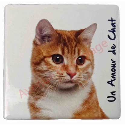 Magnet Chat roux