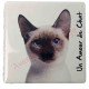Magnet Chat siamois
