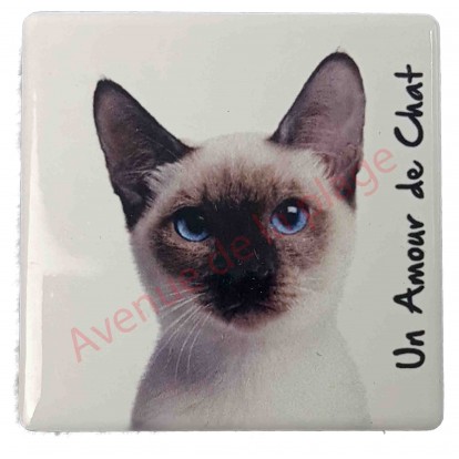Magnet Chat siamois