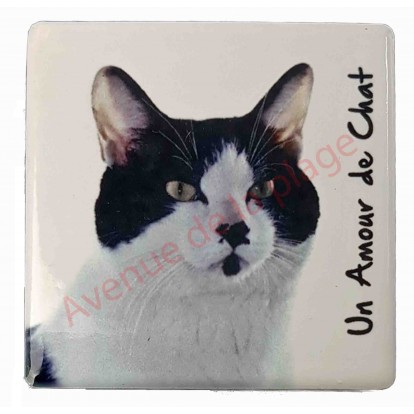 Magnet Chat noir et blanc