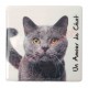 Magnet Chat gris