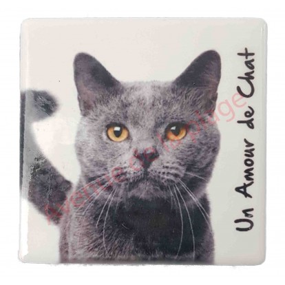 Magnet Chat gris