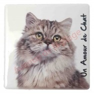 Magnet Chat Maine Coon