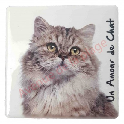 Magnet Chat Maine Coon