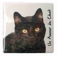 Magnet Chat noir