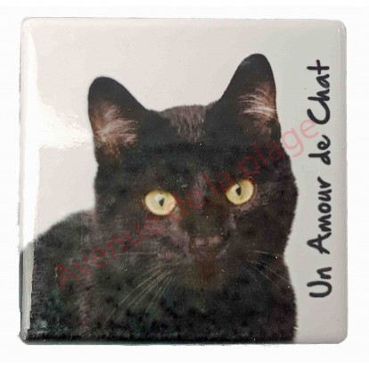 Magnet Chat noir